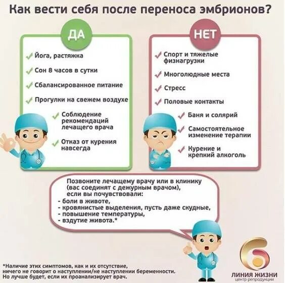 Что происходит с эмбрионом после переноса. После переноса эмбрионов как себя вести. как вести себя после эко. как себя вести после подсадки эмбриона. как вести себя после переноса.