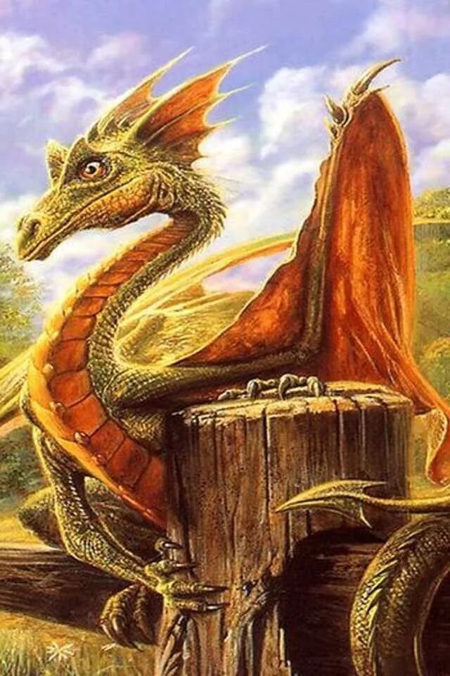 Художник драконов. Ларри элмор арт. Огромный дракон. Драконы иллюстрации художников. Художник драконов.