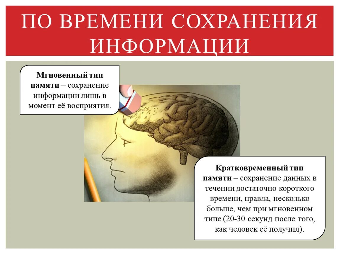 Время сохранения памяти. Сохранение информации в памяти. Узнавание память. Сообщение о памяти. Память презентация.