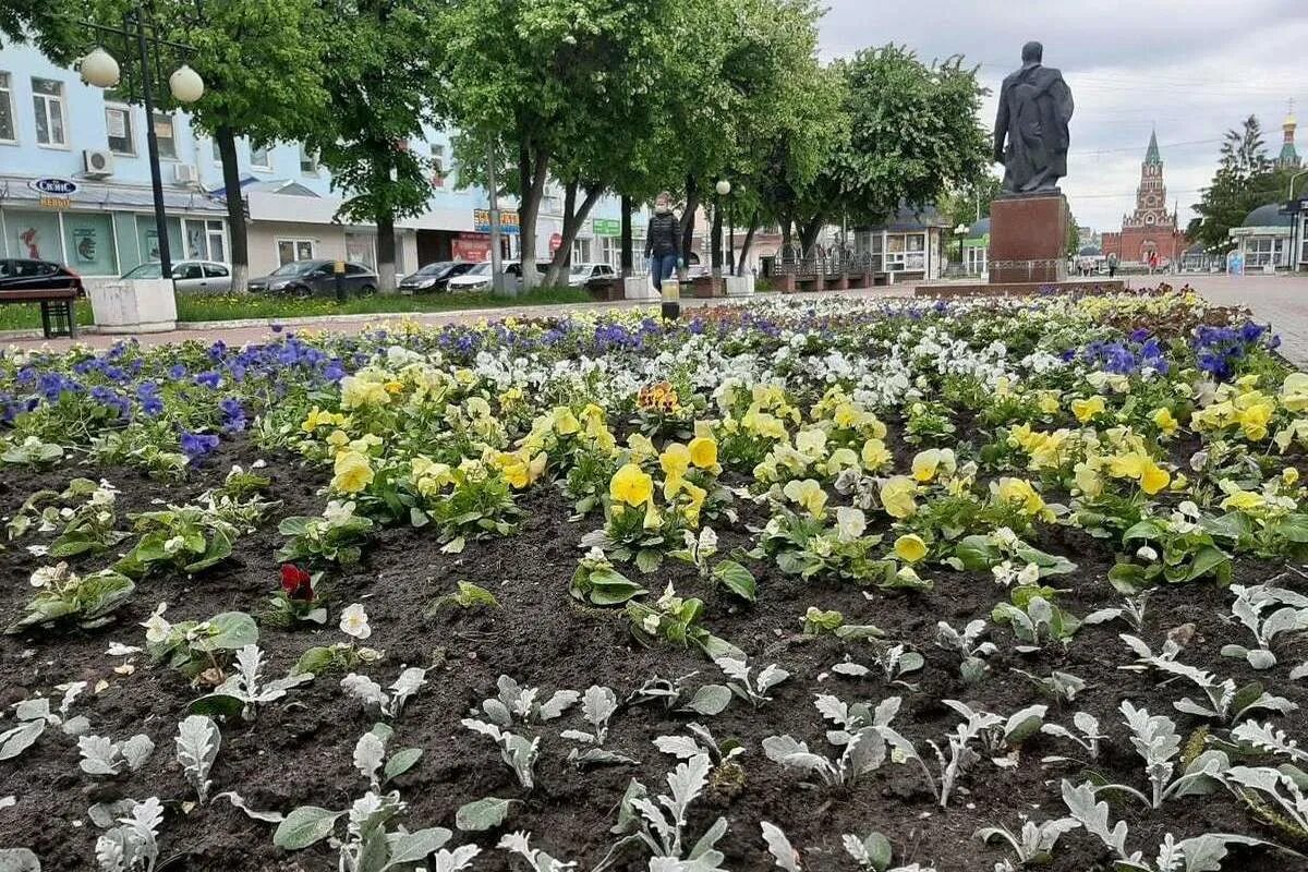 Тюльпаны йошкар ола купить. Хризантемы Йошкар Ола. Цветник Йошкар-Ола. Цветник проект Йошкар Ола. Бульвар Чавайна Йошкар-Ола.