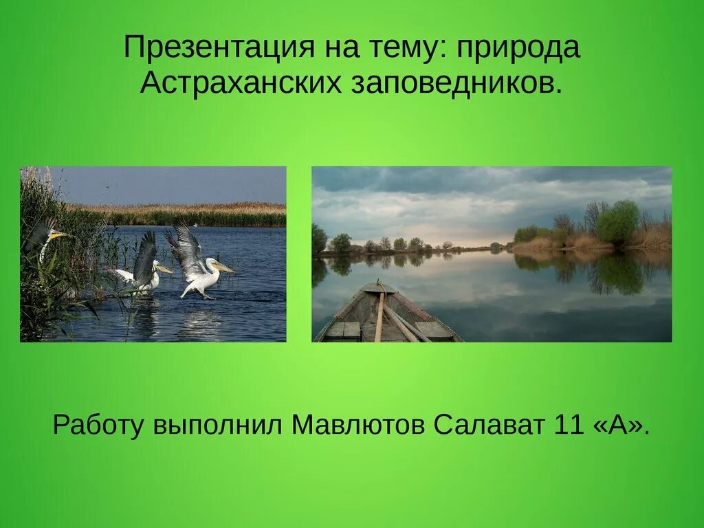 Астраханский заповедник основные объекты охраны. Презентация на тему природа. Проект на тему Астраханский заповедник. Астраханский заповедник презентация. Природа Астраханской области презентация.