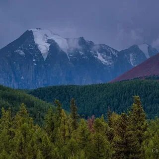 Лех казина