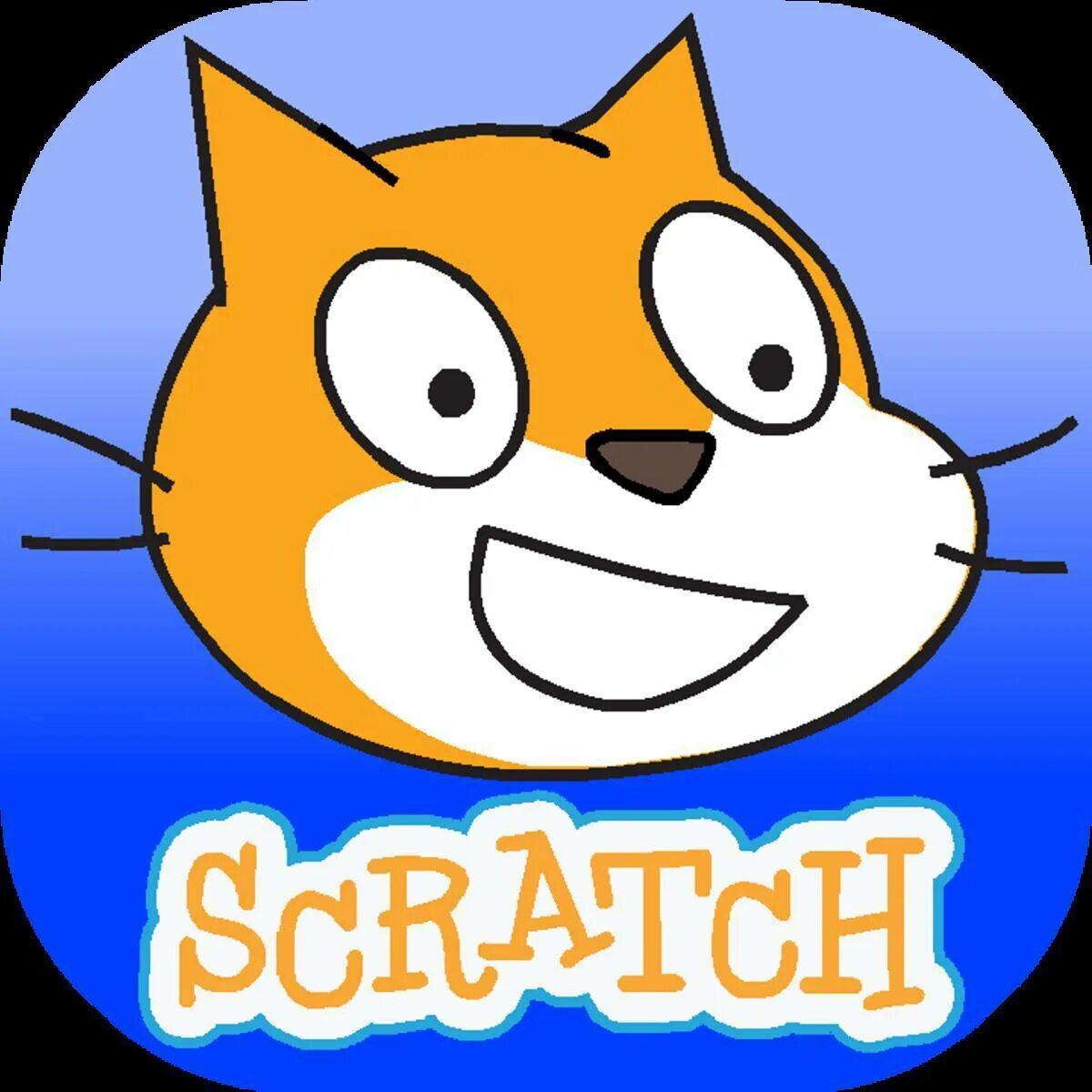 Scratc. Scratch. scrych. логотип scratch. скретч кот.