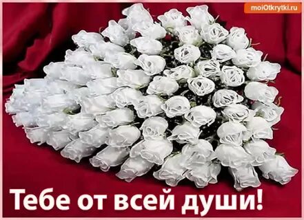 С днем рождения букет белых роз женщине