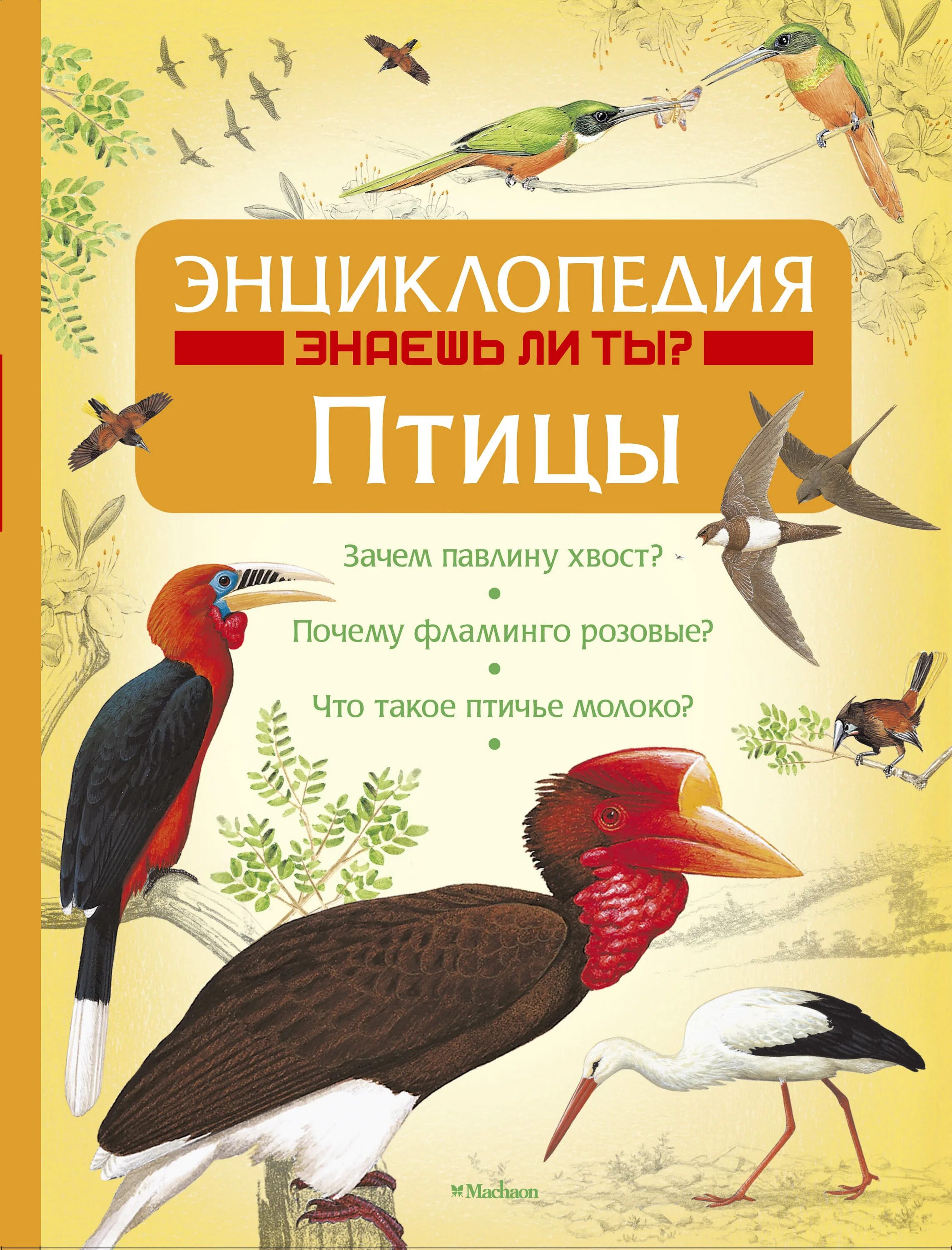 Составить энциклопедию книги. Книга энциклопедия знаешь ли ты птицы. Книги о птицах для детей. Книги про птиц для школьников. Книги о птицах для детей Художественные.