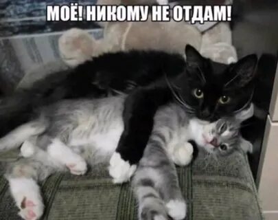 И больше ничего не отдам