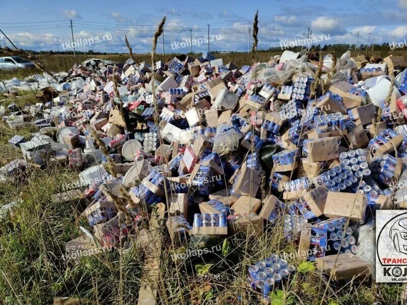 Где находится мусорка. Свалка. Свалка в Москве. Городская свалка. Просрочка на свалке.