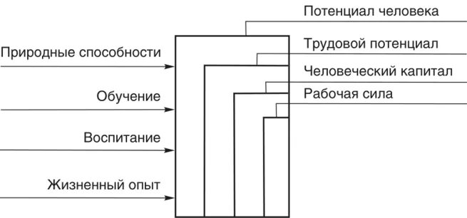 Человеческий потенциал человека. Рабочая сила и человеческий капитал. Человеческий капитал и трудовой потенциал. Человеческий потенциал и человеческий капитал соотношение понятий. Взаимосвязь человеческого потенциала и человеческого капитала.