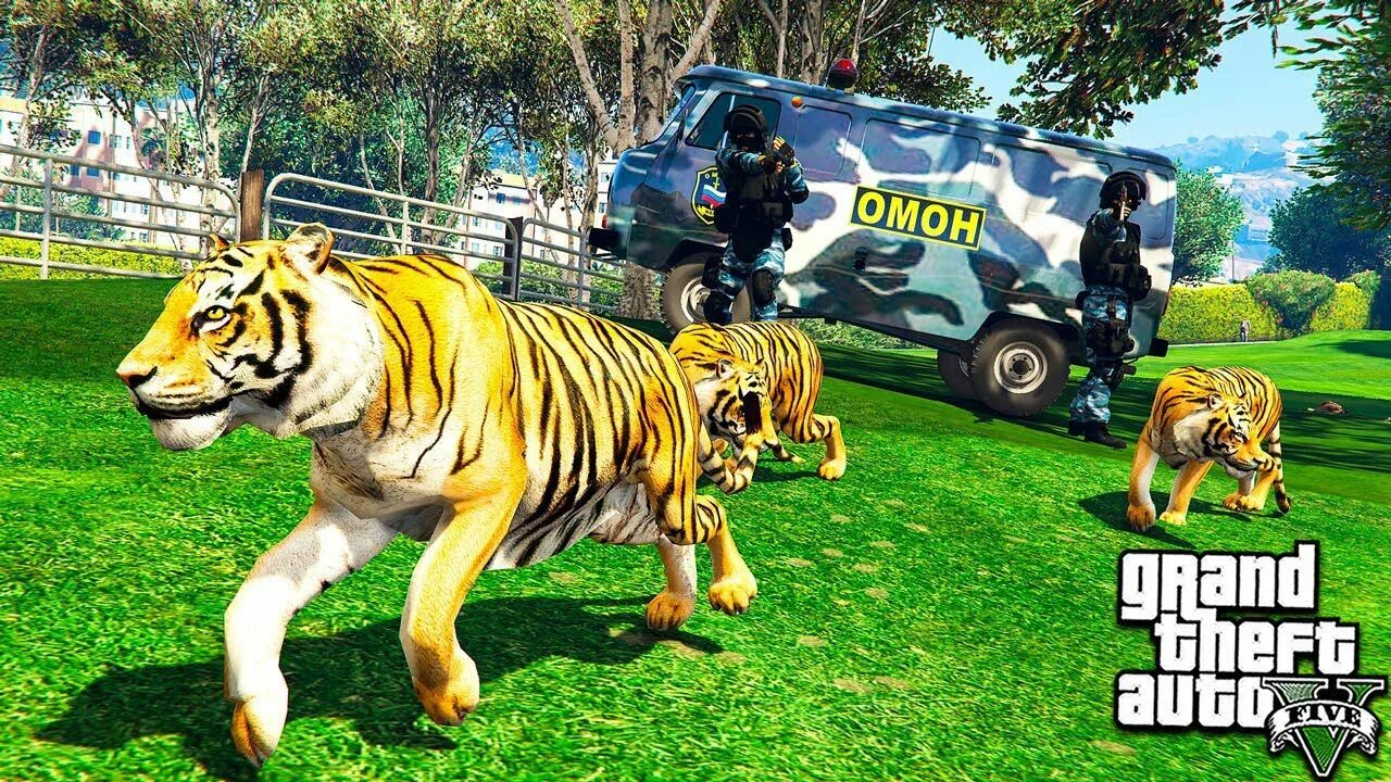 Тигр Скорти. Тигр ГТА 5. Зоопарк в ГТА 5. С зоопарка сбежал тигр.