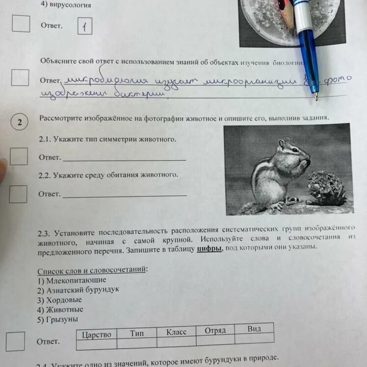 Биология 2 вариант ответы. Впр биология 7 класс вариант 2 ответы 2025. впр биология 7 класс млекопитающие. задание впр по биологии 1.2. впр по биологии 5 класс 2025 год с ответами.