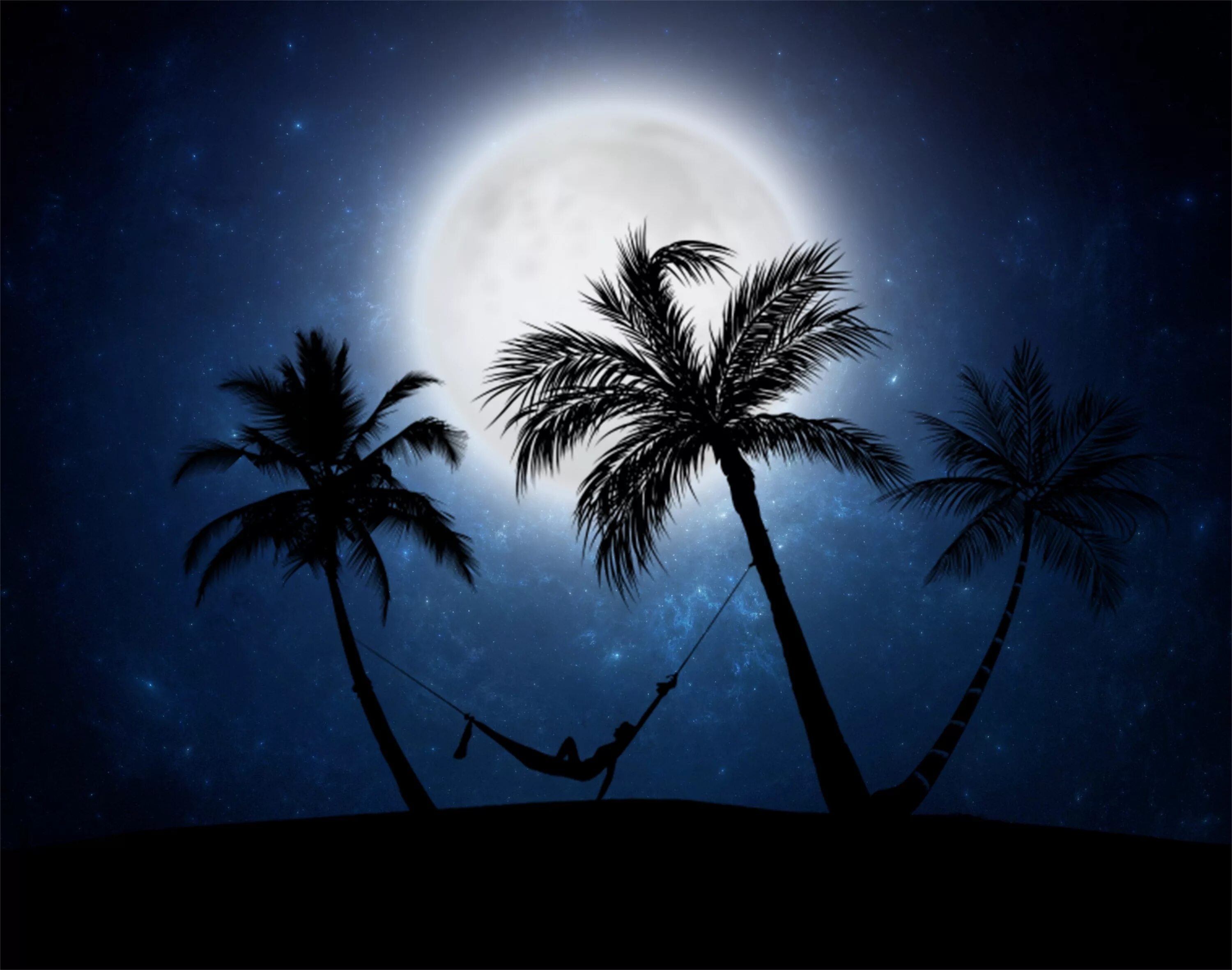 Пальмы ночью. Ночь в тропиках. Море пальмы ночь. Пляж пальмы ночь.