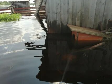 Погода в нившере