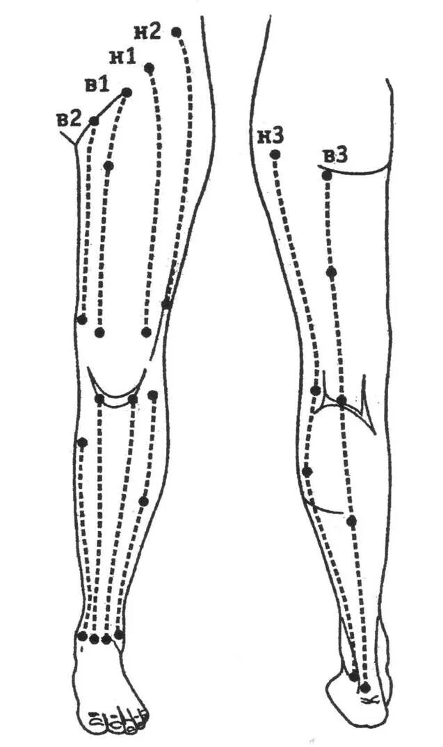 Энергетические каналы на стопе. Линии сен. Над лоном. Атлас энергетических меридианов человека. Меридианы ног энергетические.