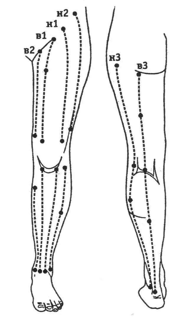 Линии сен. Меридианы на ногах. Меридианы ног человека. Точки и меридианы на ногах. Меридианы на стопе.