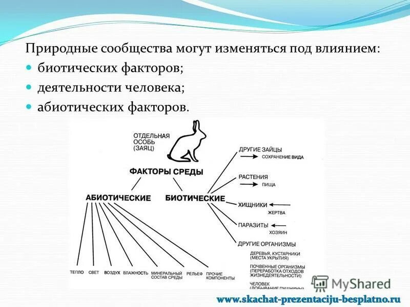 Примером абиотического фактора является ответы. Биотические и абиотические факторы среды. Биотические факторы среды на животных. Влияние абиотических факторов на животных. Абиотические и биотические факторы.