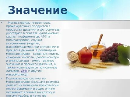 Значение углеводов для организма биология