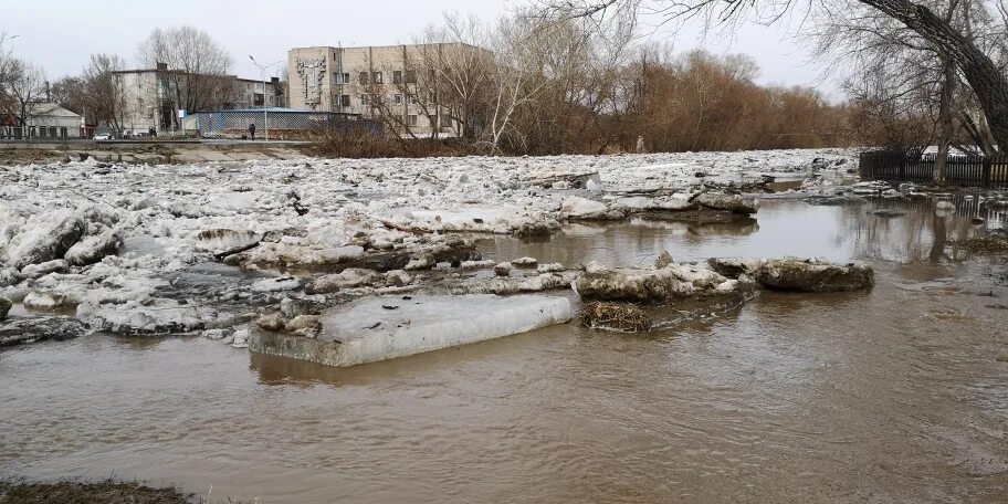 Уровень воды алей