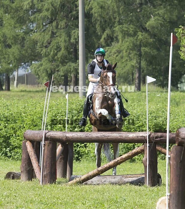 фотографии - Кота-кун - конники - equestrian.ru
