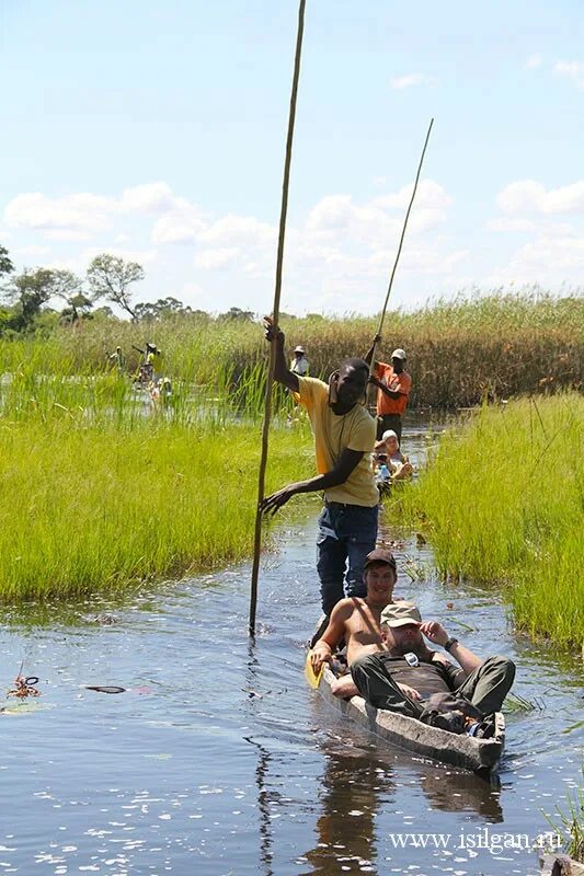 Okavango полный привод. Окаванго. Болота Окаванго на катере. Окаванго река львы.