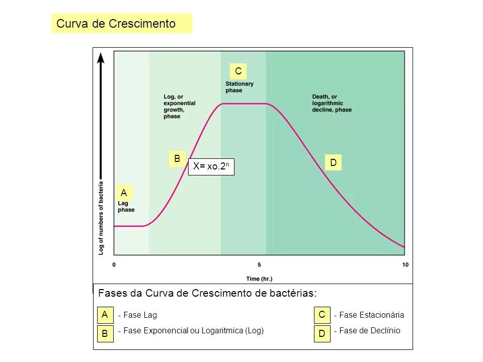 Curva перевод. Late logarithmic phase. Phase of Bench cultivation lag? Exponencial.