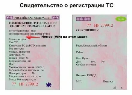 Что такое свидетельство о регистрации ребенка
