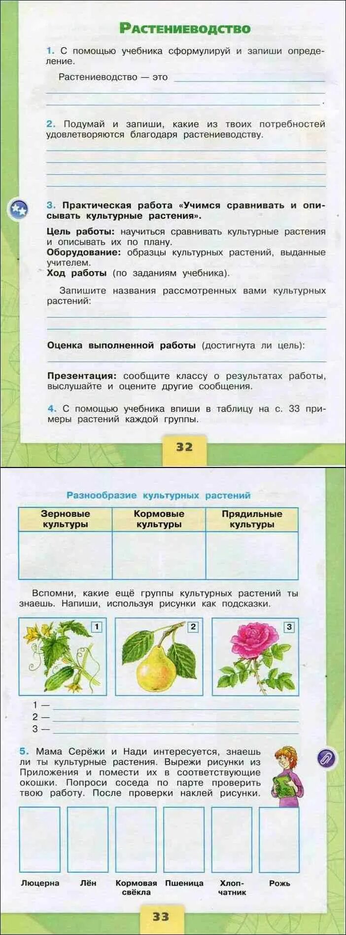 Растениеводства окружающий мир третий класс рабочая тетрадь. Названия культурных растений 3 класс окружающий мир рабочая тетрадь. Культурные растения 3 класс окружающий мир рабочая тетрадь 2 часть. Окружающий мир 3 класс рабочая тетрадь Плешаков Растениеводство. Окружающий мир рабочая тетрадь 2 часть Плешаков Растениеводство.