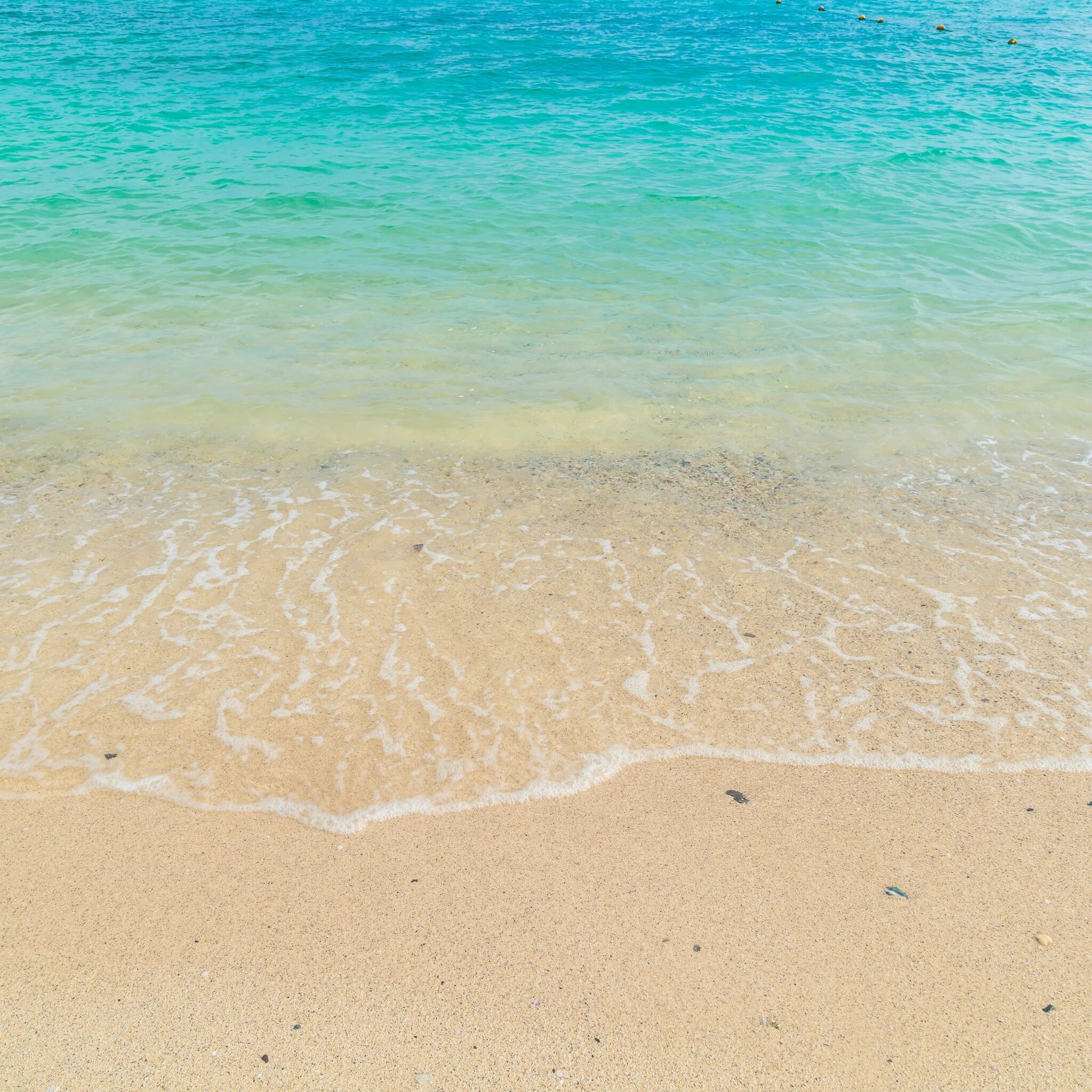 Пляж песок. Море песок. Песочный пляж. Пляж песок. Мелкопесочные пляжи черного моря.