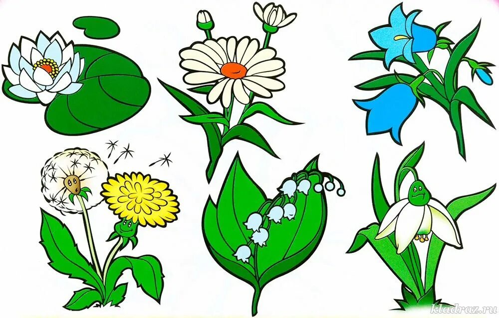 Рисунок цветов в детский сад. Растения рисунок. Цветы рисунок. Рисунки цветов для детей. Цветы для детей.