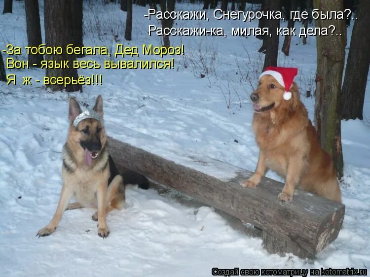 Стих про забор. В зимнюю пору лошадка примерзла писюлькой. Гляжу поднимается медленно в гору лошадка везущая хворосту воз гдз. Однажды в с дуденую зимнюю пору лошадка примеиморзла. Однажды в холодную зимнюю пору лошадка.