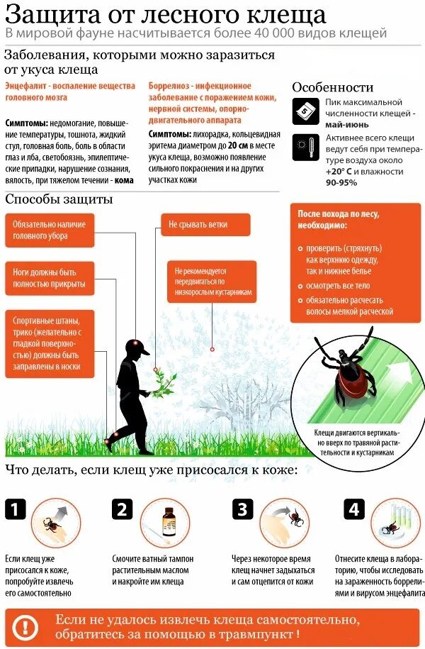 Что делать если ребенка укусил клещ. Памятка защита от клещей. Памятка клещи. Памятка про клещей. Как защититься от клеща памятка.