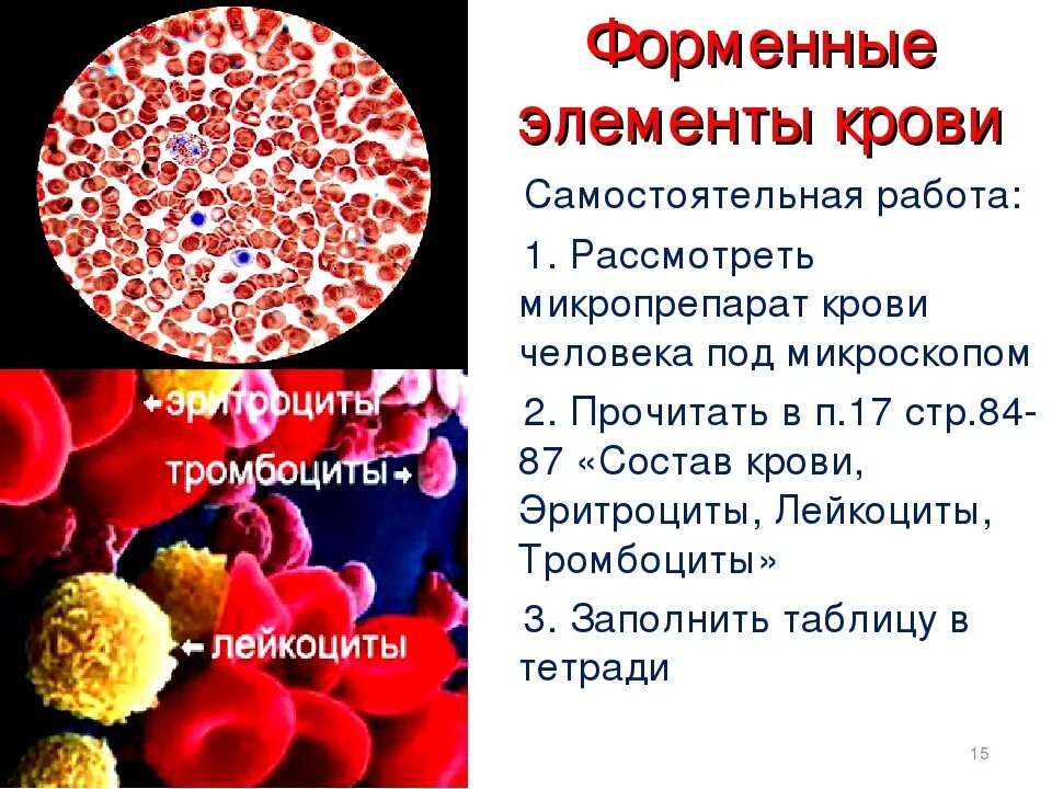 Форменные элементы крови лейкоциты. Форменные элементы крови тромбоциты. Форменные элементы крови гистология лейкоциты. Форменные элементы крови кровяные пластинки.