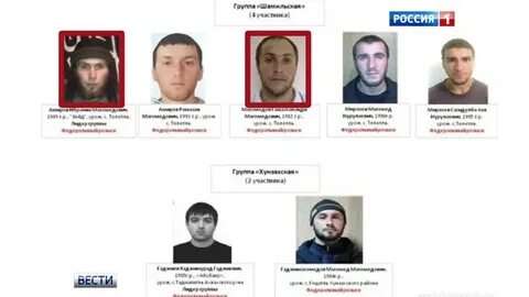 Братья мирзоевы