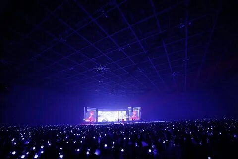 Concert tour