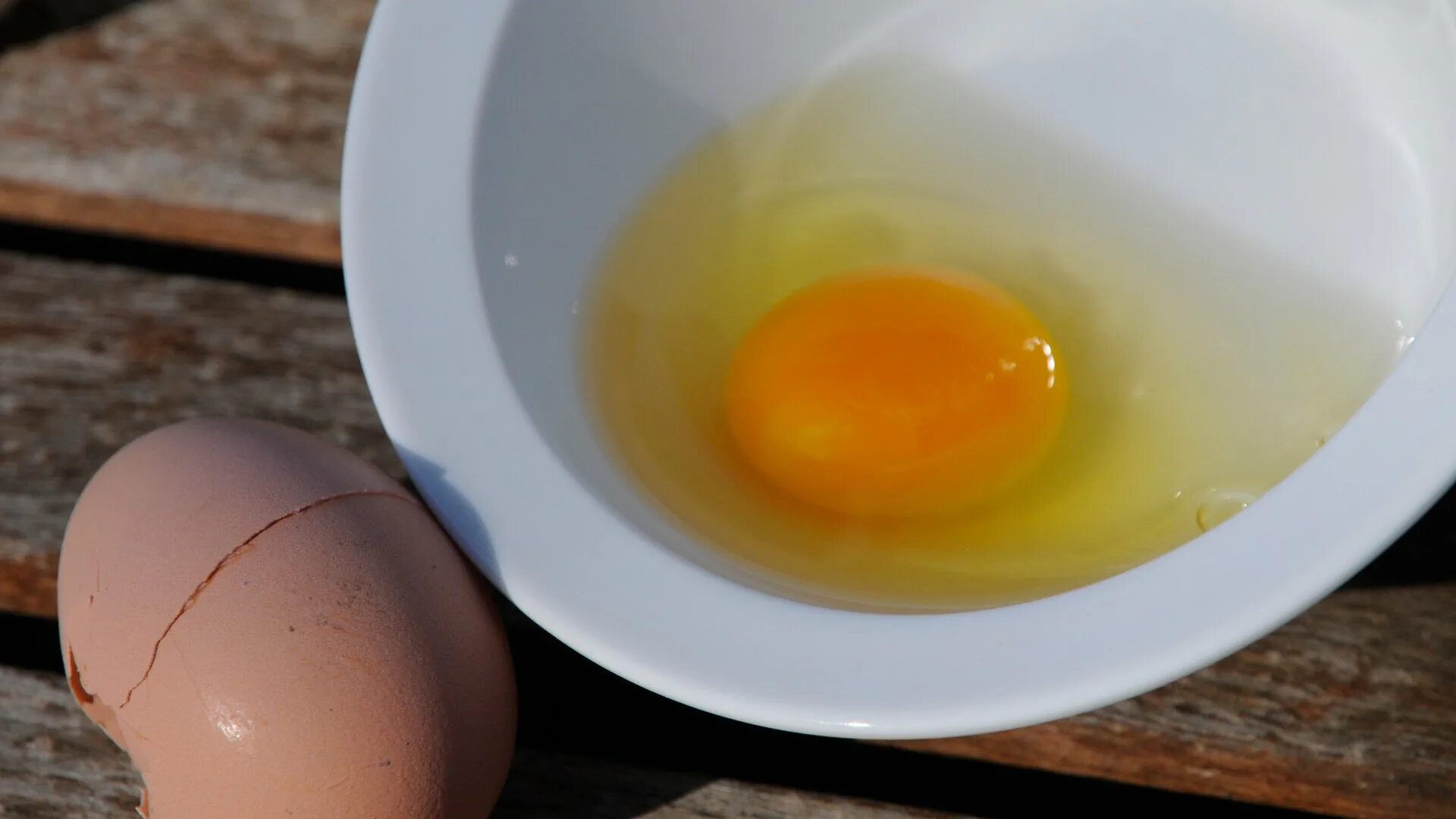 Крошка яйцо. Яйцо зараженное сальмонеллой. Сальмонелла в курином яйце.