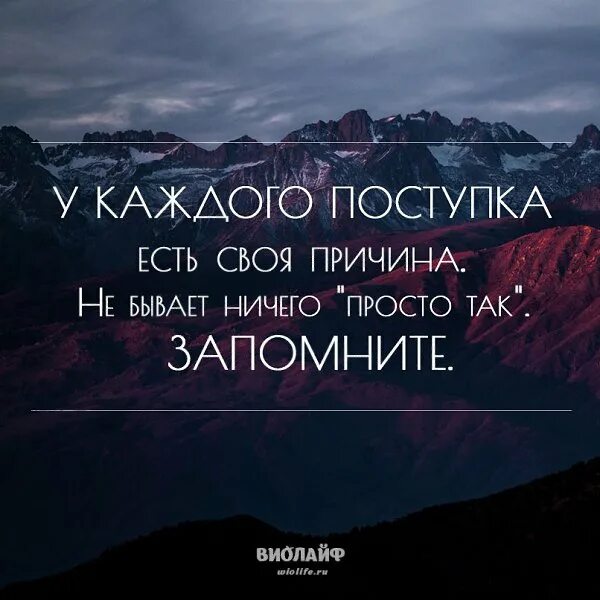 Каждому поступку есть причина. У каждого поступка есть своя. У каждого поступка есть своя причина. У каждого действия есть причина.