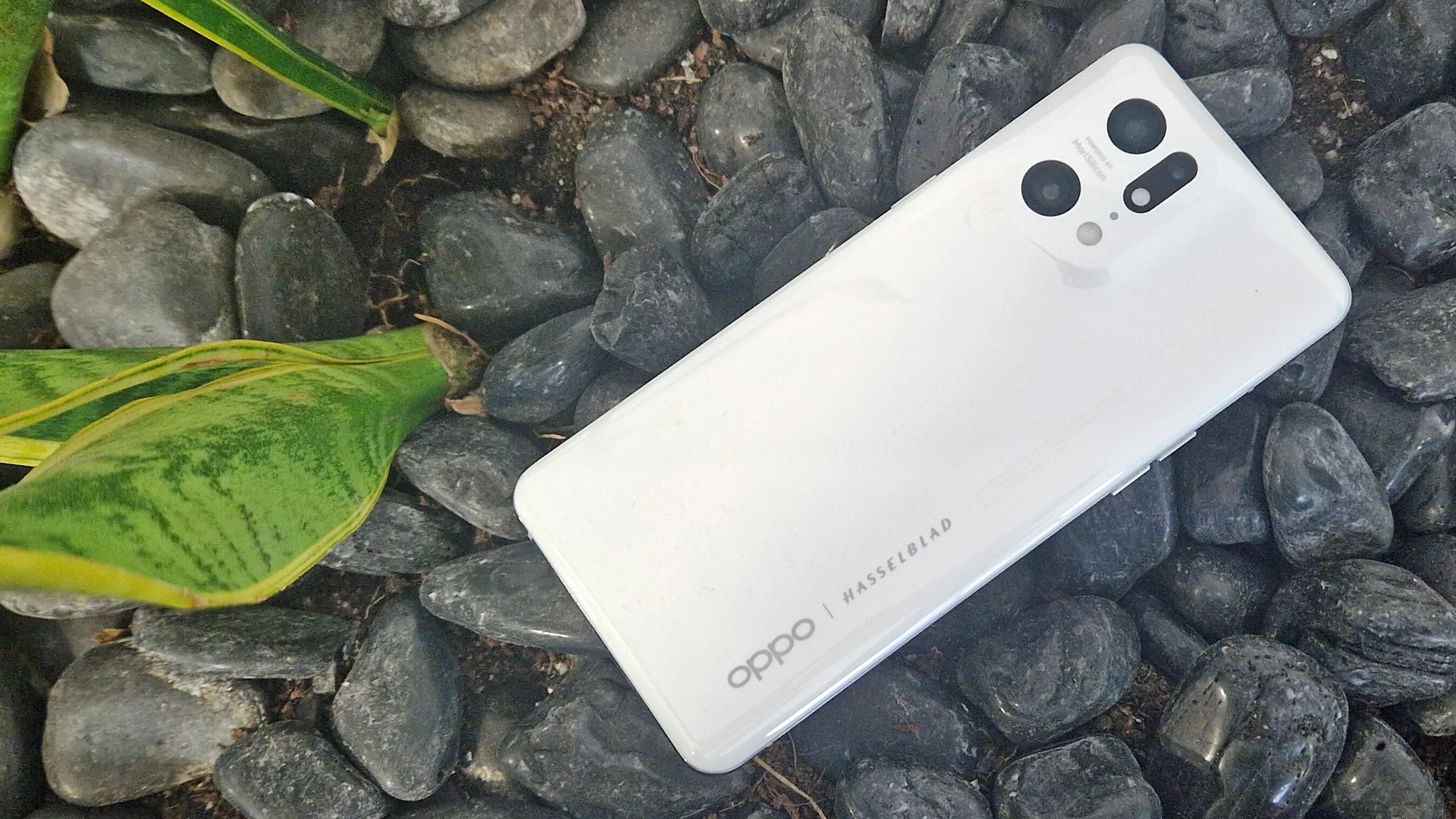 Чехол для iphone 6s с заглушками. Необычные чехлы на телефон. Чехол. Iphone 5. Чехлы на сотовый.