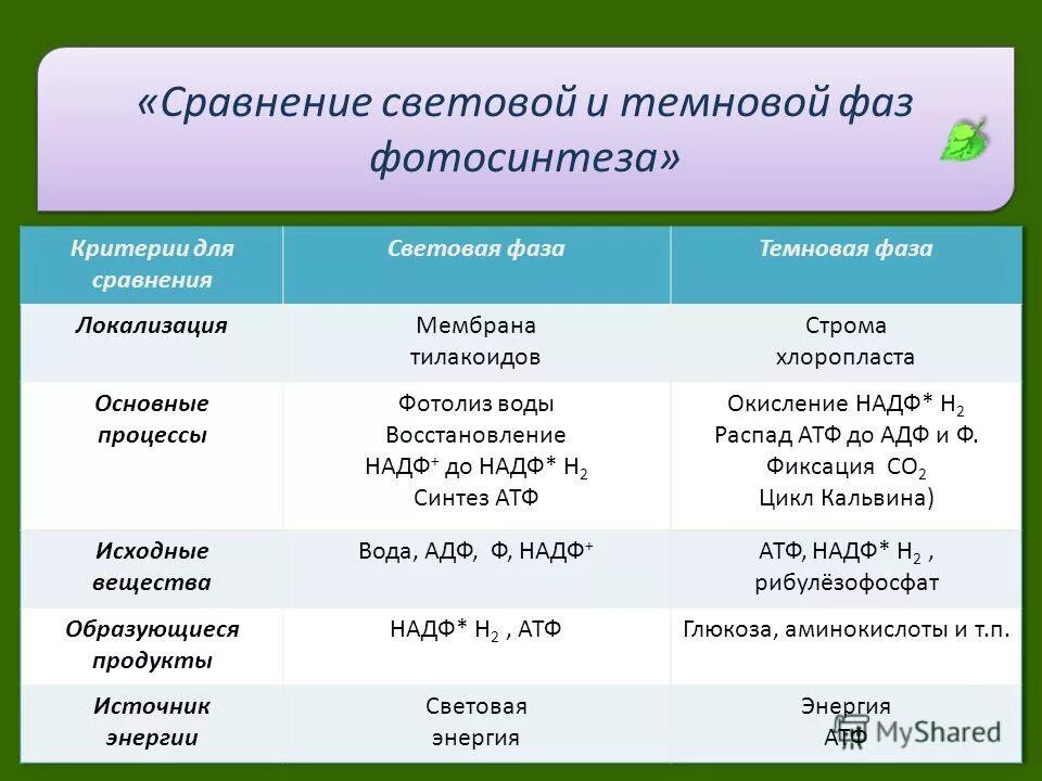 Процессы которые протекают в темновую фазу фотосинтеза. Фотосинтез световая фаза и темновая фаза таблица. темновая фаза фотосинтеза 2 этап. исходные вещества темновой фазы фотосинтеза. световая и темновая фаза фотосинтеза.