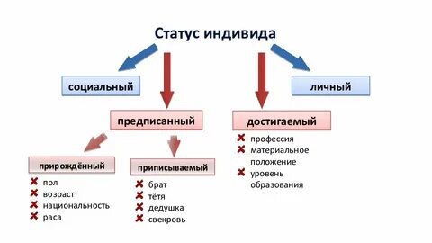 Статусы определяемые положением индивида в группе