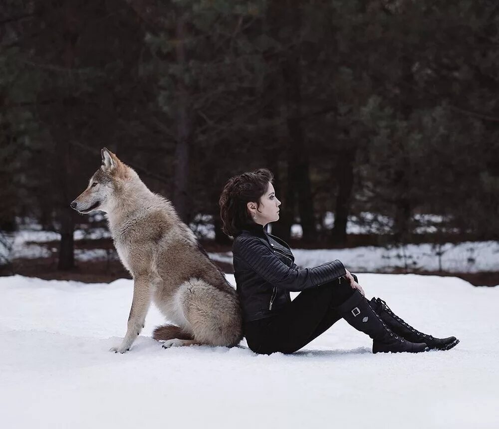 сношение людей и животных. жеводанский зверь (1764–. полно людей с животными. карликовые шимпанзе бонобо спаривание. зоо животных и людей.