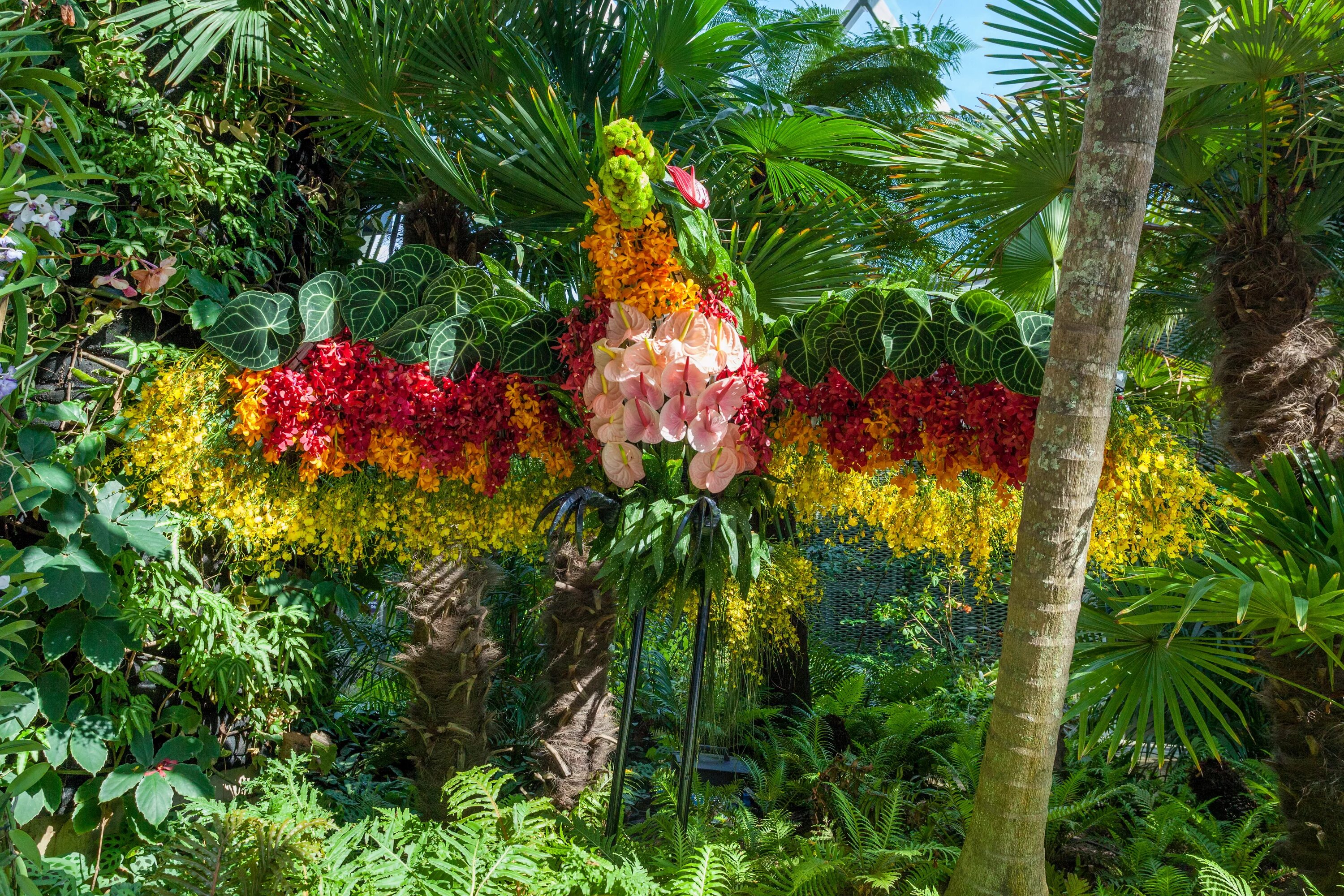 Tropical plant. Чили Сельва тропические цветы. Эпифиты Южной Америки. Бегония африканские джунгли.