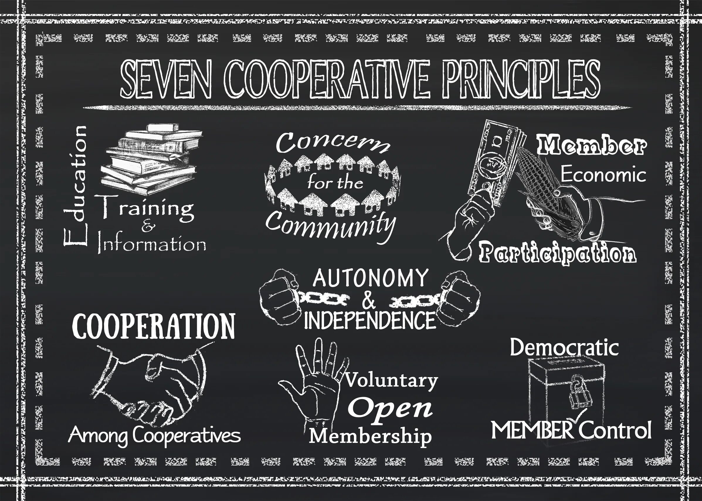 Our principles