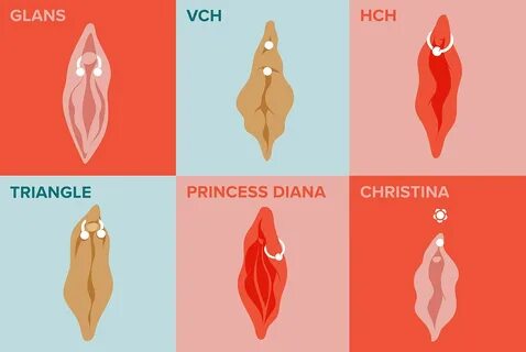 Illustration showcasing different types of clitoral glans, clitoral hood, a...