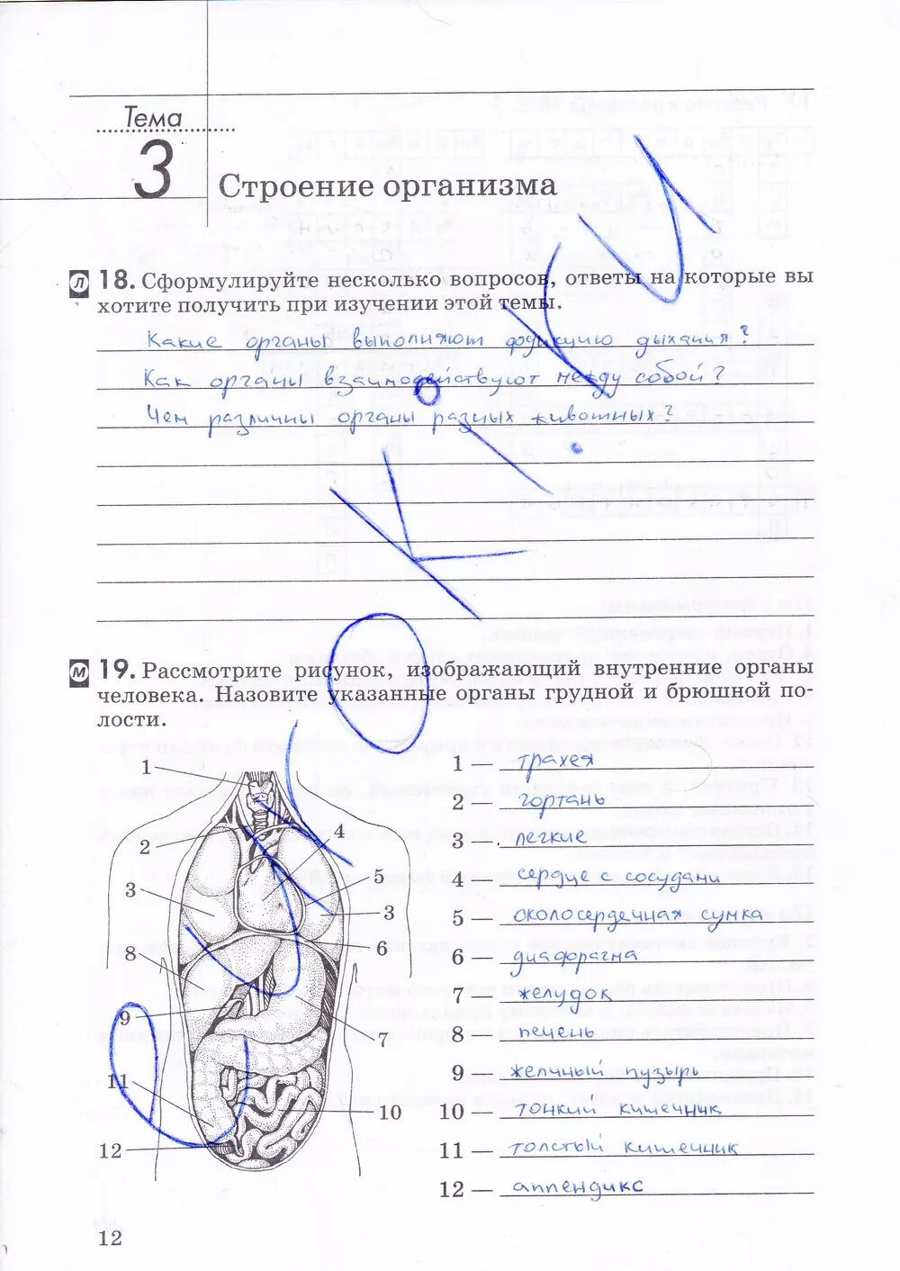 Рабочая тетрадь по биологии 8 класс ответы. Биология рабочая тетрадь Колесов биология 8 класс. Биология 8 класс рабочая тетрадь Колесов маш. Гдз биология 8 класс рабочая тетрадь. Рабочая тетрадь по биологии 8 класс Колесов маш Беляев.