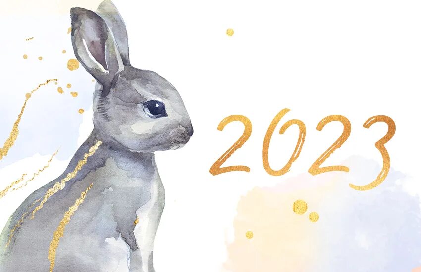 24 год год кролика. 2023 Год год черного водяного кролика. Год кролика. Новый год 2023 кролик. Кролик символ 2023 года.
