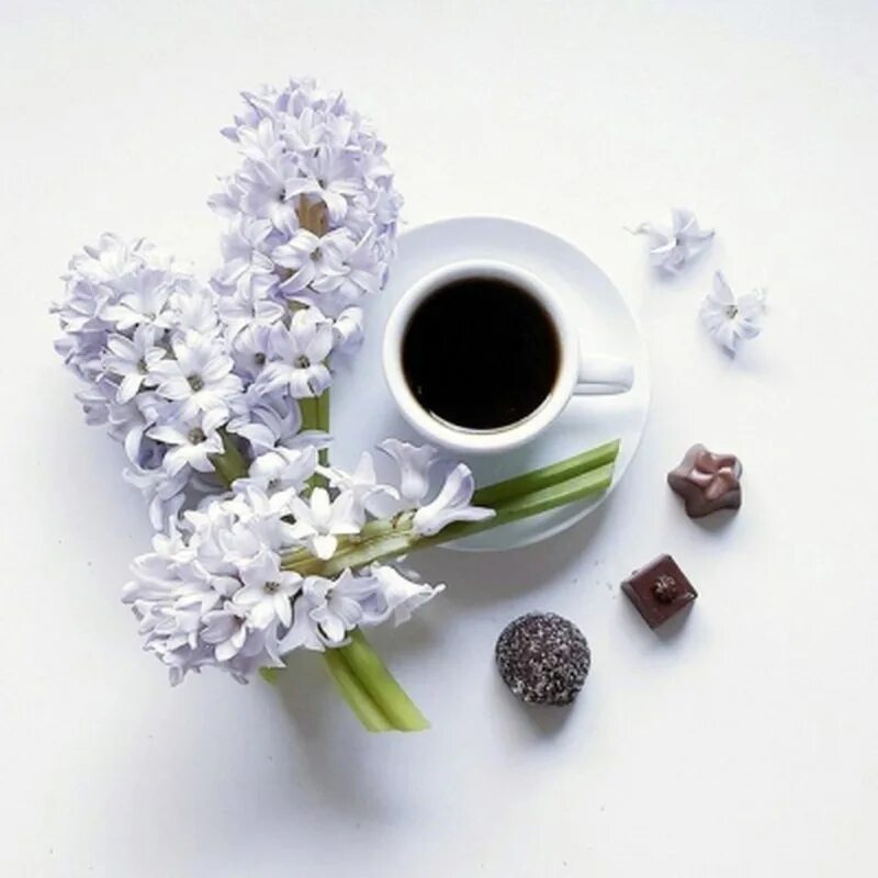 Доброго утра апреля стильные картинки. Весенний кофе.