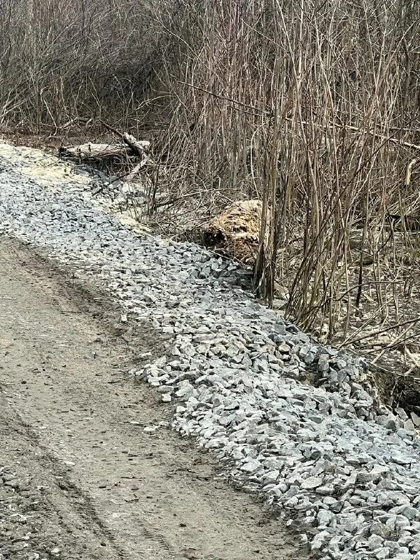 пульс дона телеграмм канал