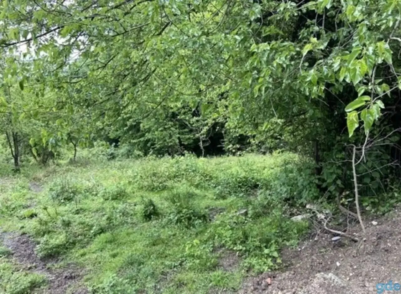 Снт автомобилист златоуст. Земельный участок автомобилист. Земельный участок автомобилист. Тюмень садоводческое общество автомобилист. Земельный участок 11х22.