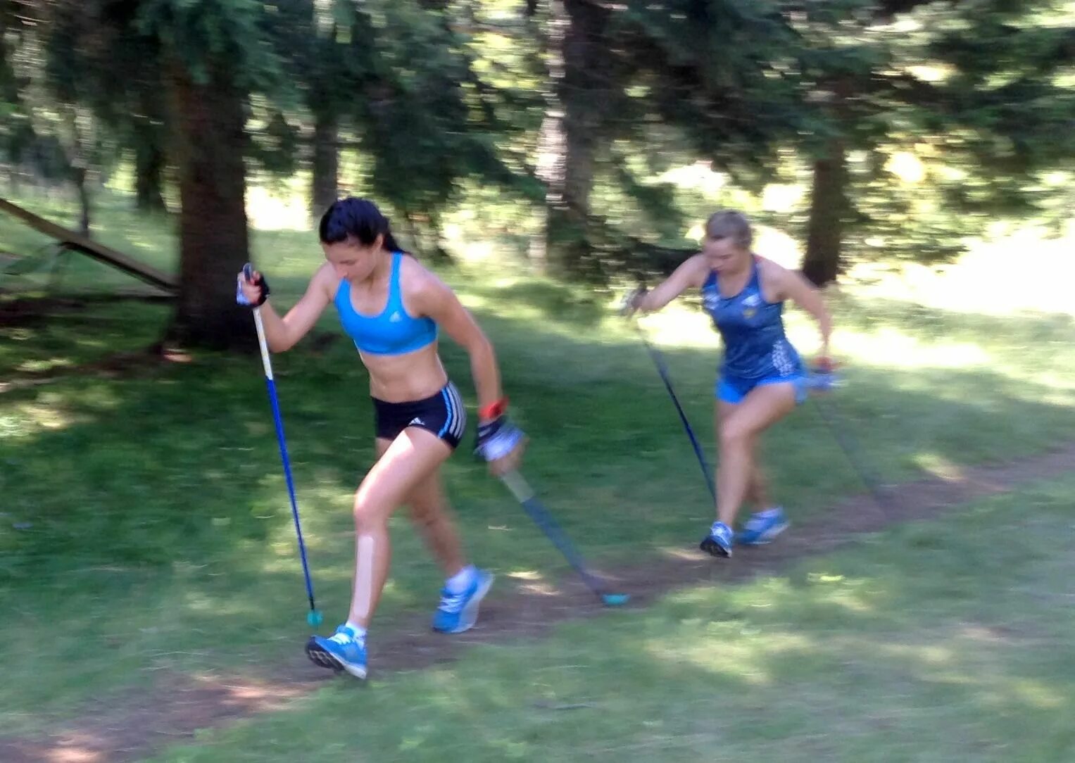 кросс с имитацией лыжного хода. лыжная имитация с палками. имитация лыжников. лыжная имитация. имитация лыжного хода.