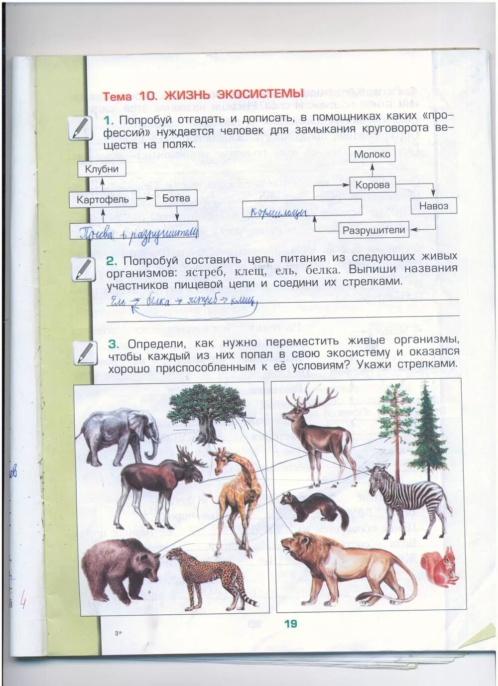 окружающий мир 3 класс рабочая тетрадь 1 часть школа россии. задания по окружающий мир 3 класс. домашняя работа окружающий мир 3. рабочая тетрадь окружающий мир 3 класс вахрушев борисанова. окружающий мир 3 класс рабочая тетрадь 1 часть школа россии.