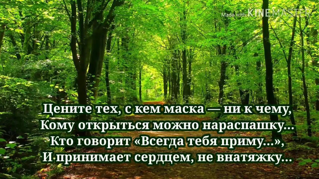 Цените тех автор. Цените тех кому маска ни к чему. стих цените тех с кем маска никчему. стих цените тех с кем. цените тех с кем маска ни к чему кому открыться можно нараспашку стихи.